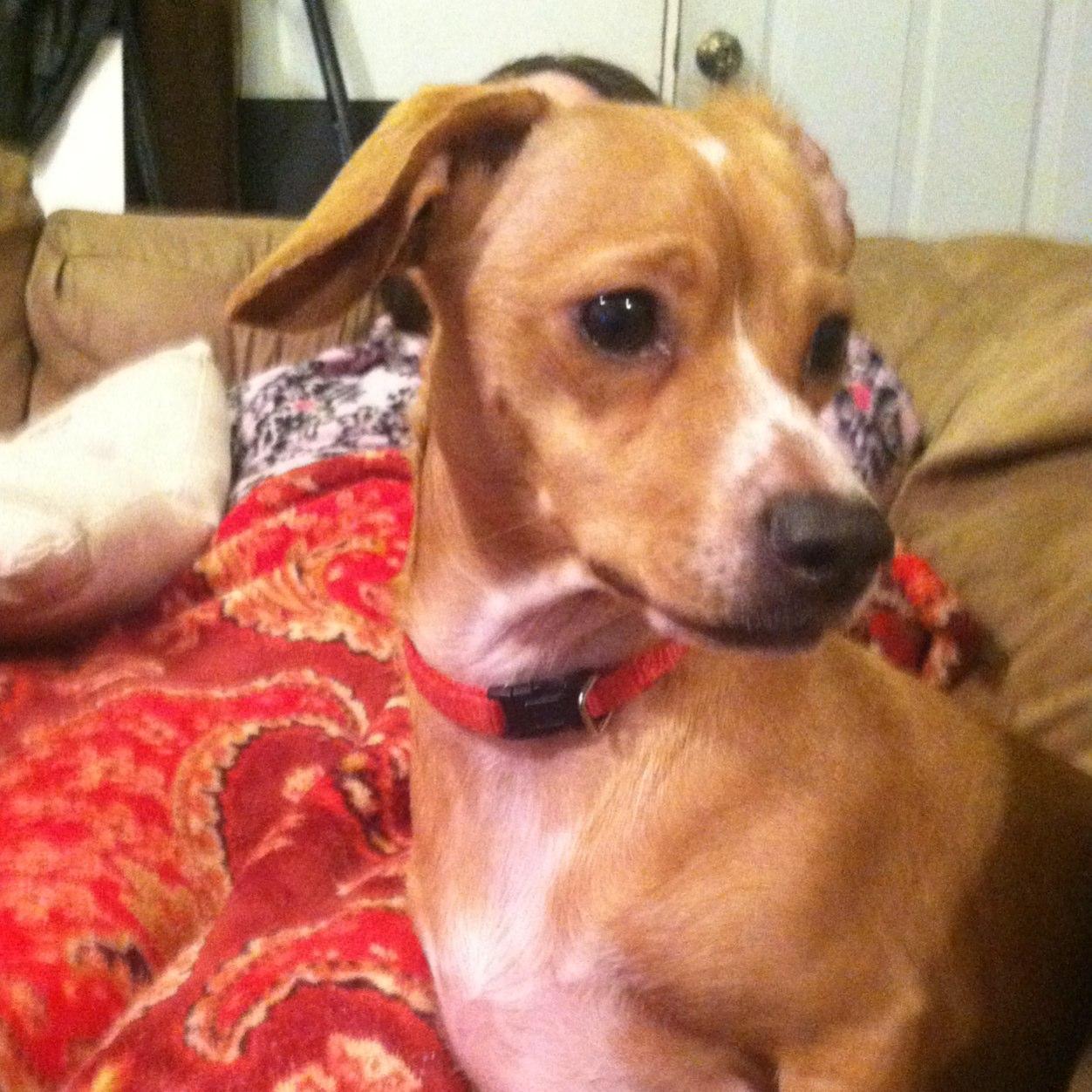 ErinIreneInABox's profile picture. My name's Erin Irene, that's all.