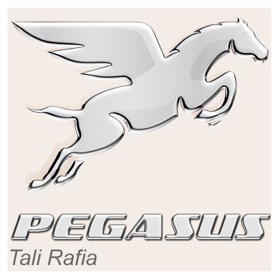 KantonganKresek's profile picture. 