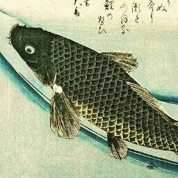 noahulandis's profile picture. 