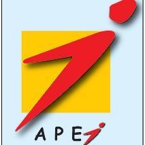Agence pour la Promotion de l'Emploi des Jeunes