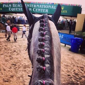 ro7ntt7bk's profile picture. 