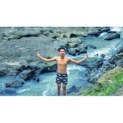 Voly