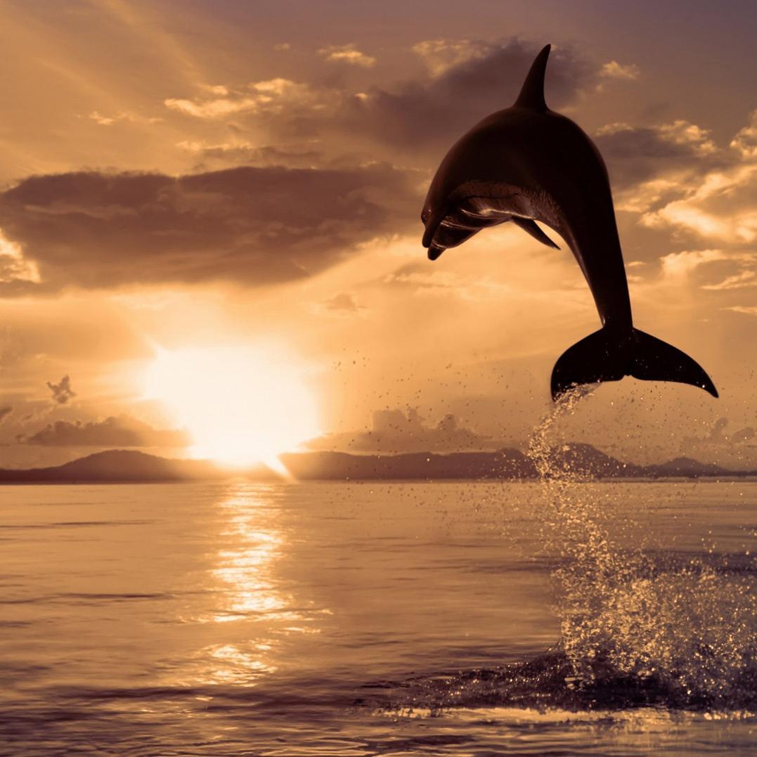 fani2015gordaka's profile picture. 