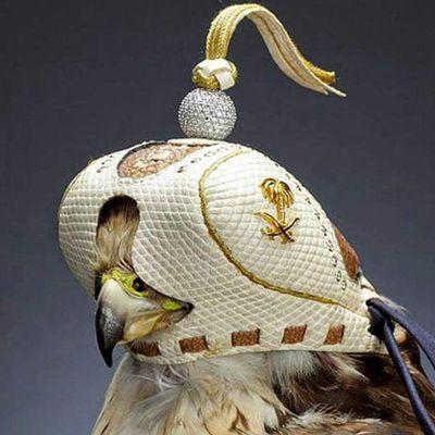 الكلام بلظهر عنك وصلني.⚔⚔⚔. وانا العفيت لئن صايم واصلي ⚔⚔. واذا تسأل عن جدودي واصلي⚔⚔.  جدودي عنوز واهلي الوائليه⚔⚔⚔.