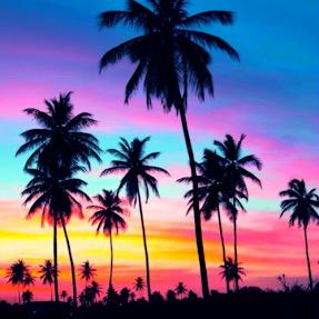 hey guys please go follow @lovinglife19991 @kara_zali I follow everyone who follows me and them