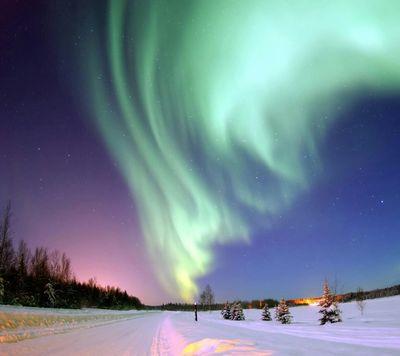 0eb3f2809e904c4's profile picture. 