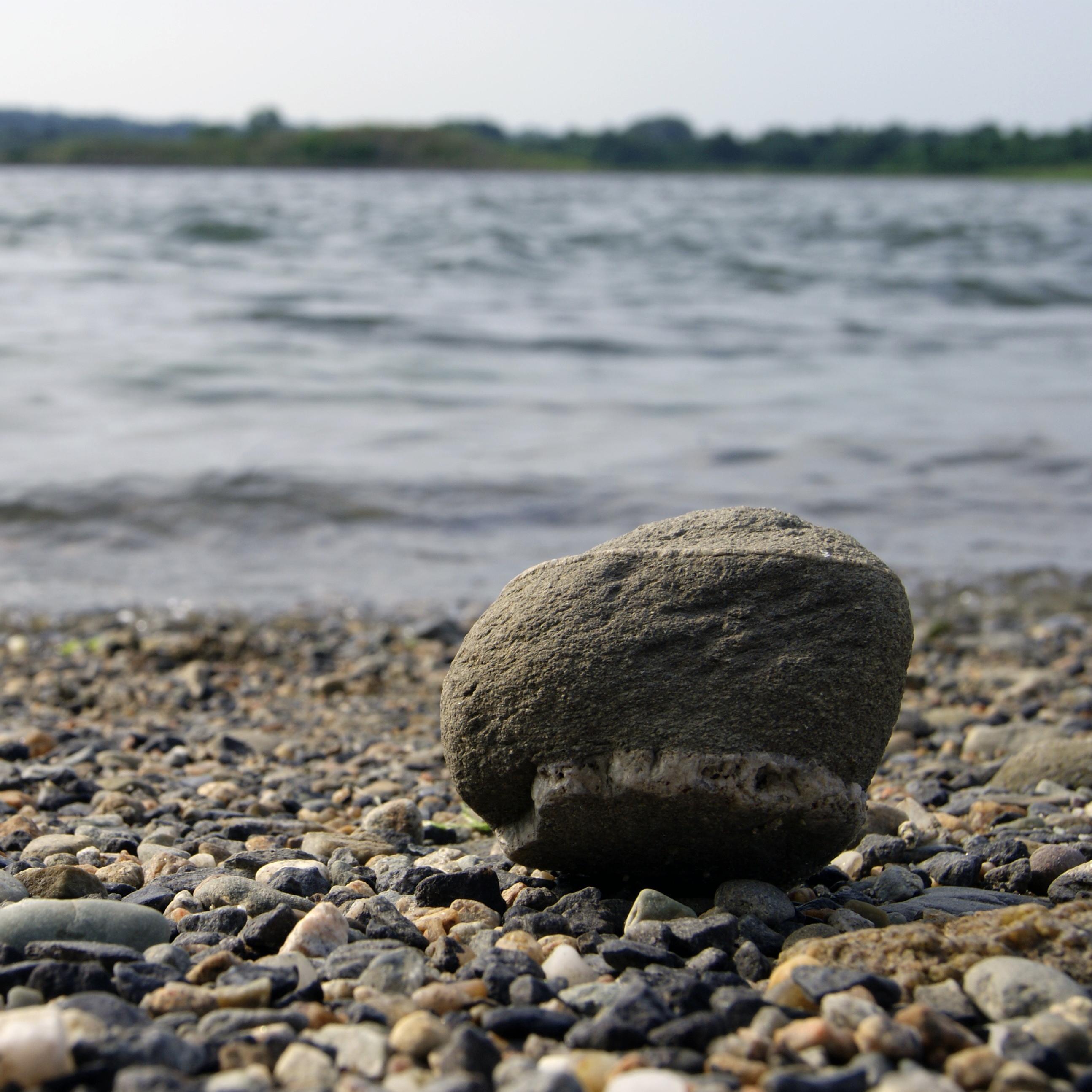 Il Naufrago (Castaway) is a blog where you can find opinions of people that often are forced outside the big continents of politically correct.