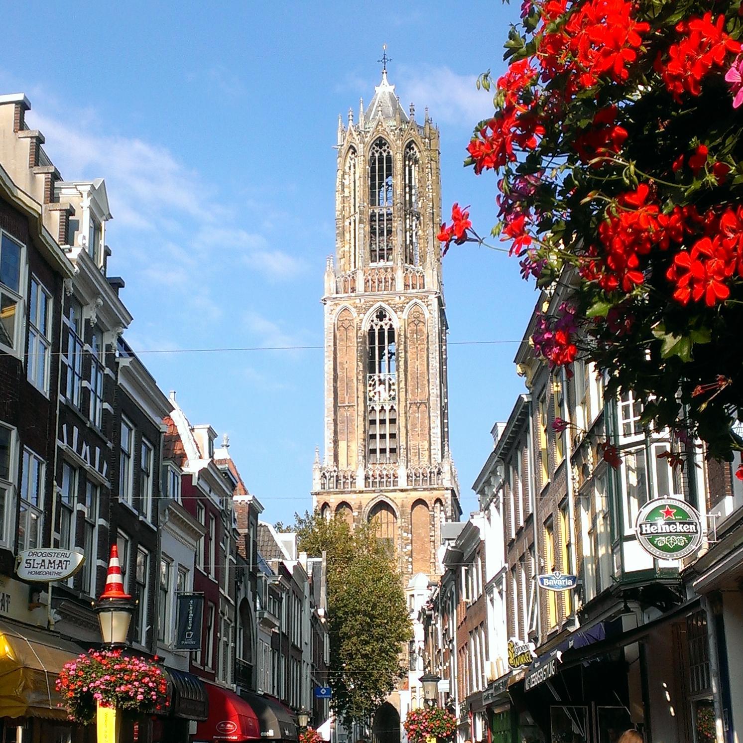 Het TaalOndersteuningsPunt voor alle taalvrijwilligers in Utrecht. Nu ook online! En natuurlijk op donderdagmiddag in de Centrale Bieb op de Oudegracht.