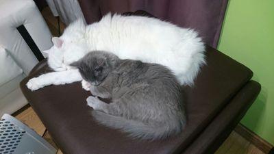 two_gatis's profile picture. 