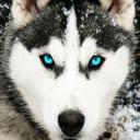 Dan Morrell - @danmorrell53 - Twitter