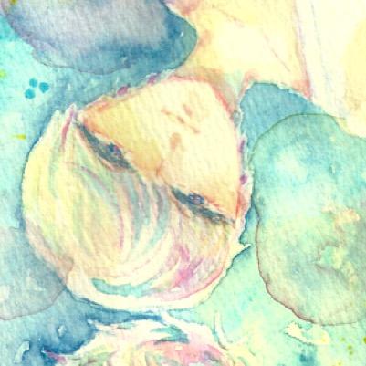 nmkさんのプロフィール画像