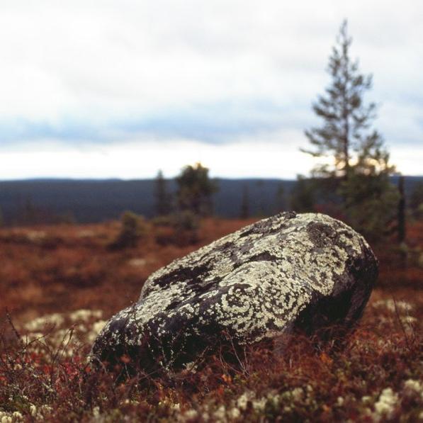 Ukkua minuu, olen karjalaine! / Kiss me, I'm Karelian! // Sayings & proverbs for your everyday needs