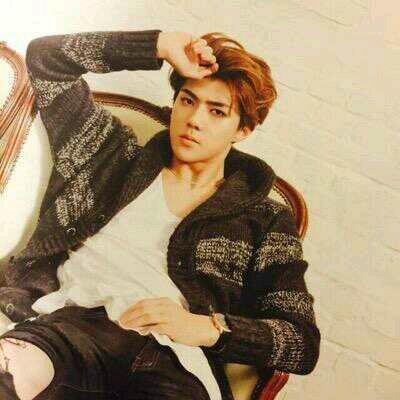 Sehun / 94 L / Exo Maknae / Kim Jongin owns me. Sekai •031215•