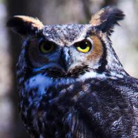 deleted and gone forevermore (@deleted478942) 's Twitter Profile Photo