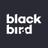 AgenceBlackbird's profile image
