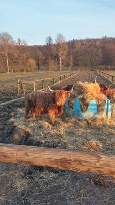 BorcasbmX's profile picture. bmxlive #streetshred #friends #