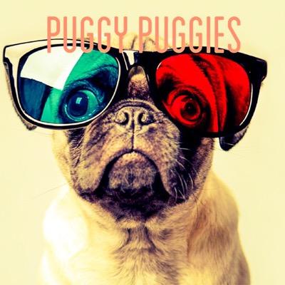 pugs are awesome and charming