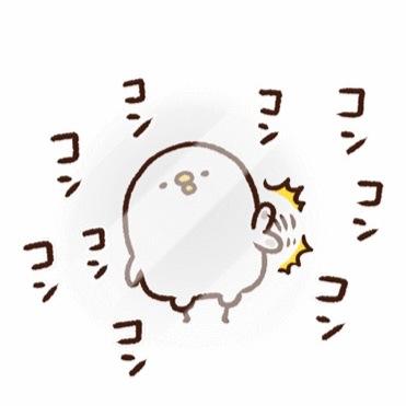 好きなものを好きなだけ