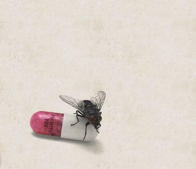 d_e_veral's profile picture. Hayvanların insanlardan daha kıymetli olduğuna kanaat getirdim sonunda