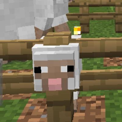 マイクラpe初心者です！