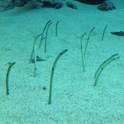 robo7291p's profile picture. 今は受験生…