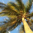 Marla Werner - @Xraylady79 - Twitter