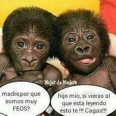 FrasesGitanas's profile picture. 