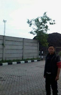 Sahabat