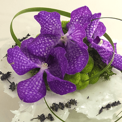 IsisflorFlorist's profile picture. Florista portuguesa, a primeira online, Com loja on-line desde 1999. A florir emoções desde 1988