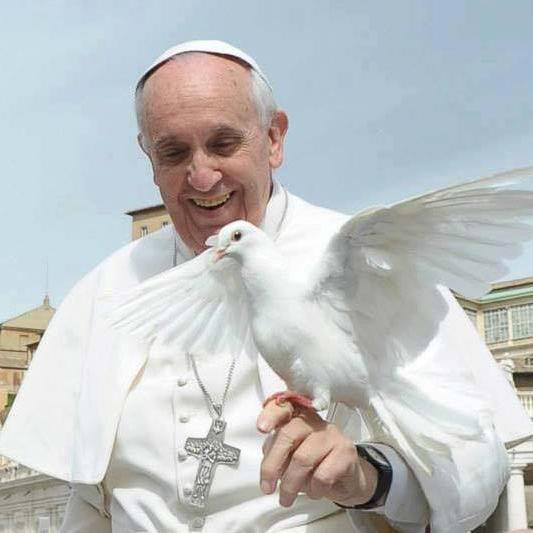 SanJoseMensajes's profile picture. Comunidad virtual para difundir y compartir la Fe.