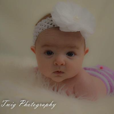 TwigPhotography, located in Alexandria Va 22315