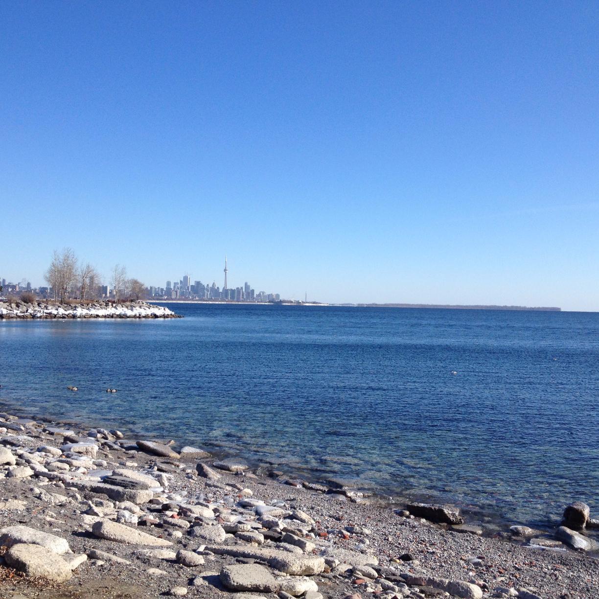 simonyt's profile picture. 