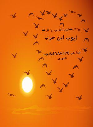54DAA478 هذا بني ايوب الحربي