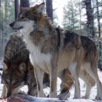 marw74's profile picture. 