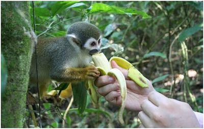 serramontevilla's profile picture. Barrio #Serramonte #Villavicencio