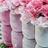 deco_jars's profile image