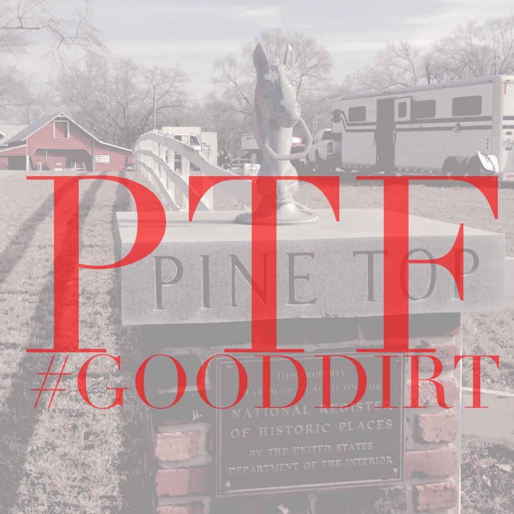 Pine Top Farm is a premier equestrian facility located in Area III.