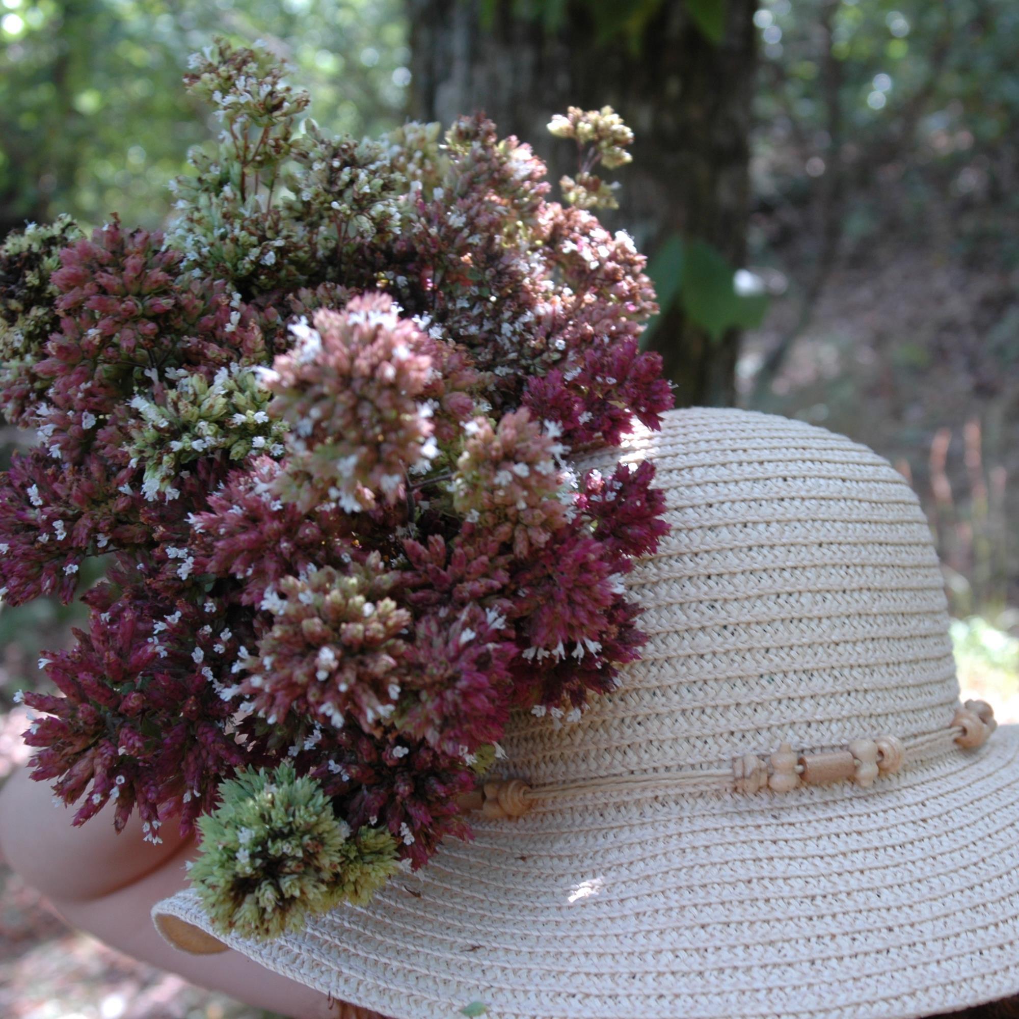 Bellkiss7's profile picture. 