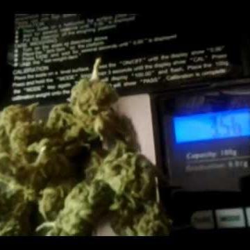 sebastiandinius's profile picture. 