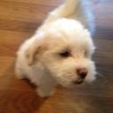 Debbie Van Brunt - @debk3p2 - Twitter