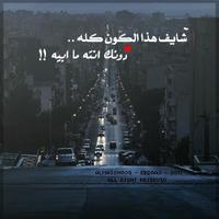 A (@alsaydi_) 's Twitter Profile