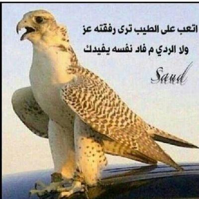(حُرياتْ عدلااااااااااااات)من الأخر كلو يمثل نفسه !؟ فديت ترابك يالمدينه