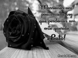 Damiaopalmeira1's profile picture. 