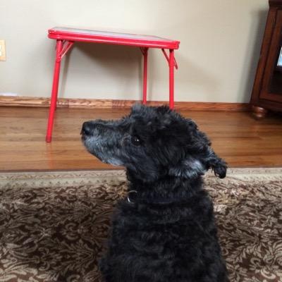 DFediaczko's profile picture. hail to pitt