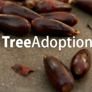 TreeAdoption Profile Picture