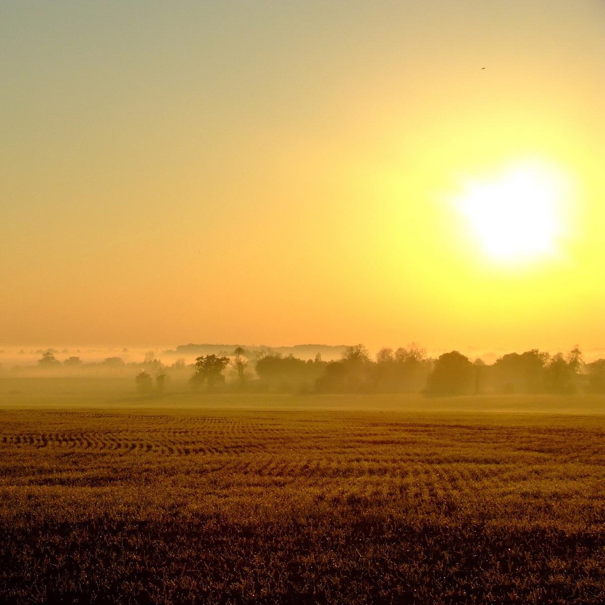 ifilmdirector's profile picture. 