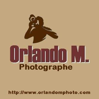 Photographe d'événements (mariages, baptêmes, anniversaires, spectacles), reportages photo.
Events photographer (weddings, sports, shows), photo reporter
