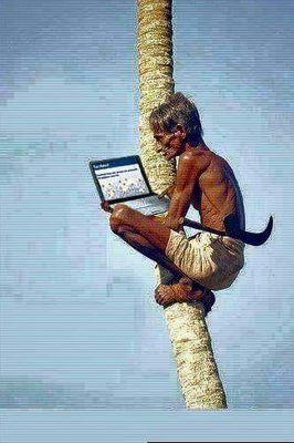 f0d00f1189a1495's profile picture. 