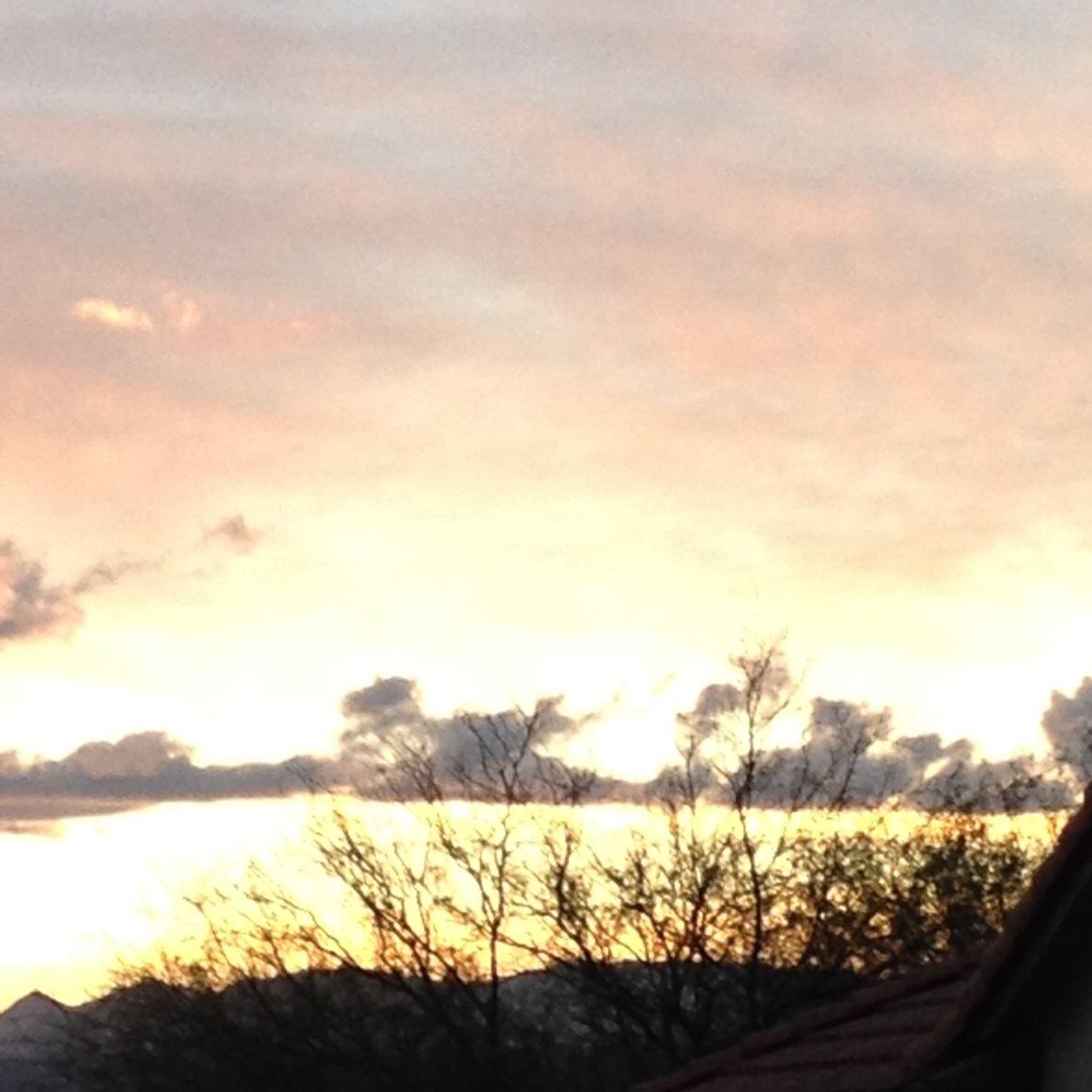 bethany_gay's profile picture. 