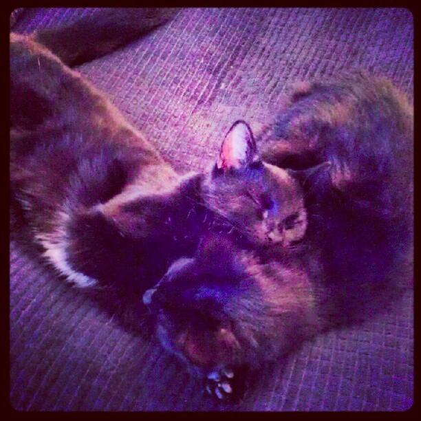 ZacandZee's profile picture. It's a lifestyle thing! **Coming soon** UK
#tech #gadgets #cannabis